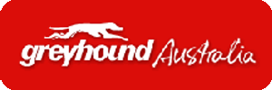 Greyhound Australia